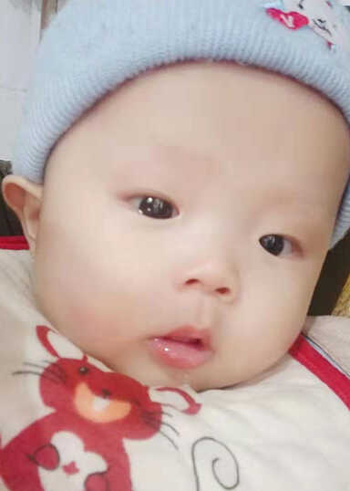 模特-
