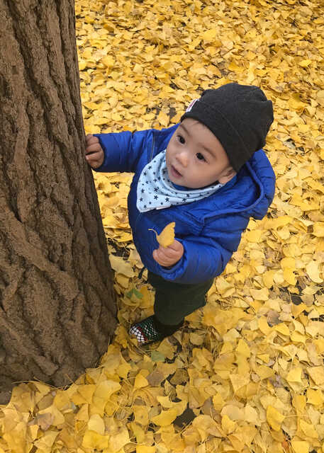 模特-