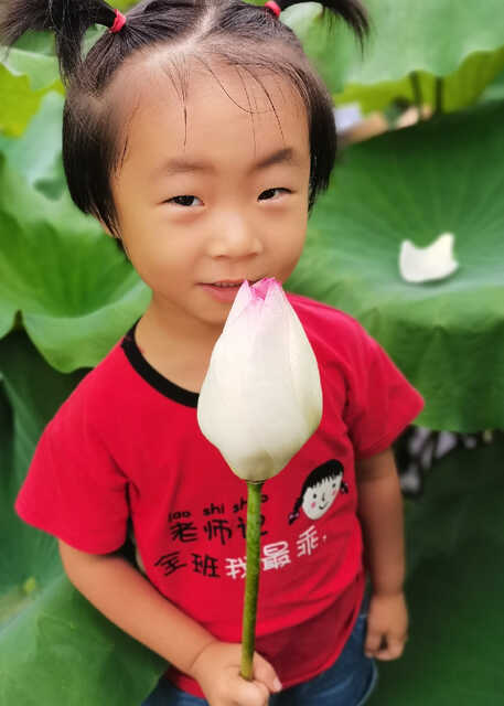 模特-
