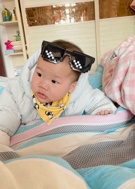 模特-