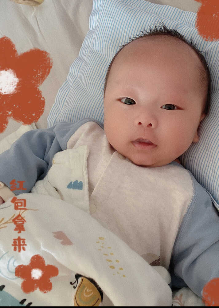 模特-