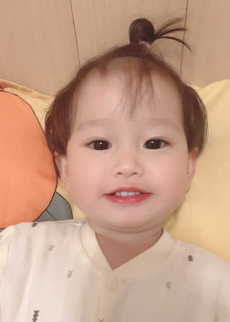 模特-