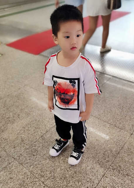 模特-
