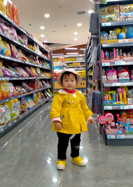模特-