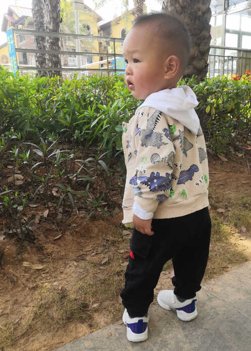 模特-