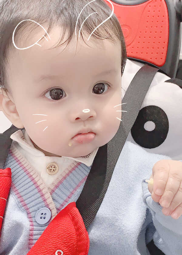 模特-