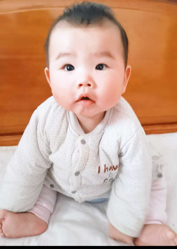模特-