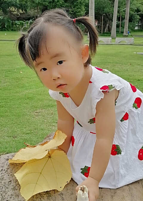 模特-
