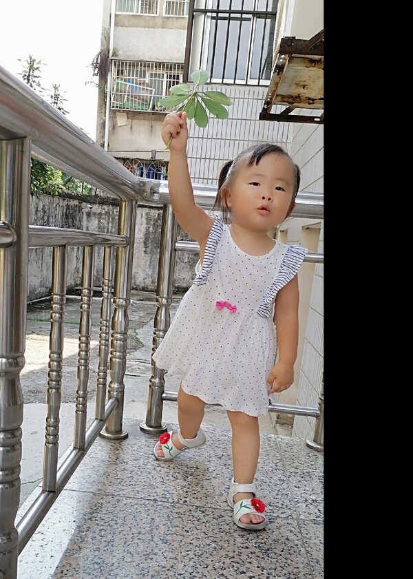 模特-