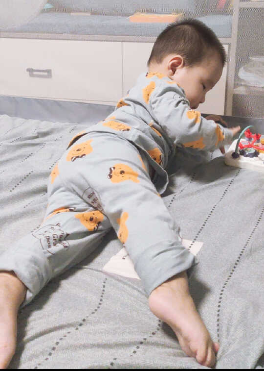 模特-