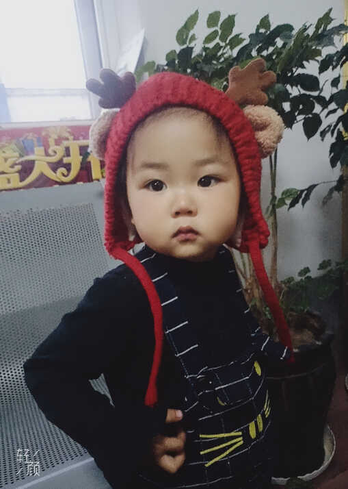 模特-