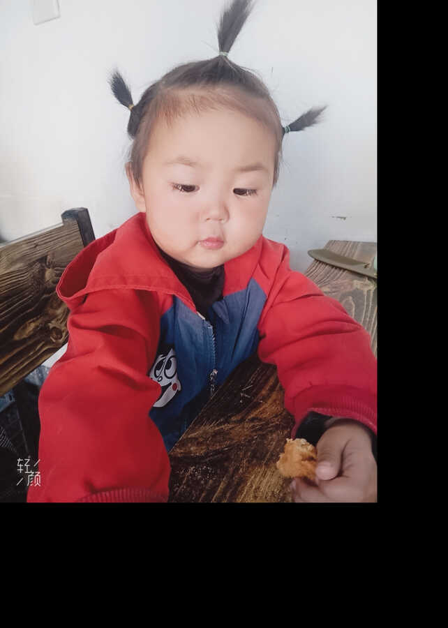 模特-