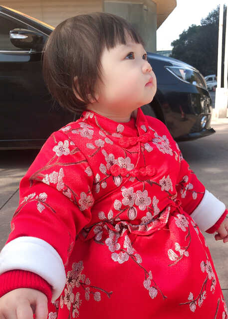 模特-