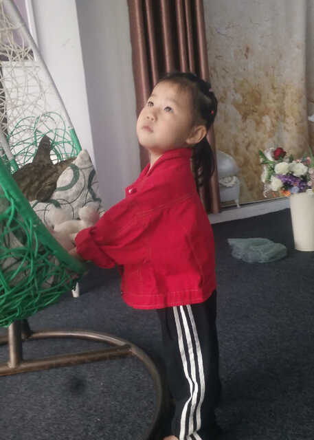 模特-