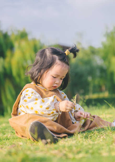 模特-