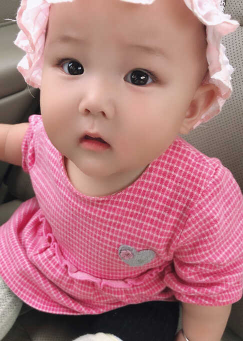 模特-