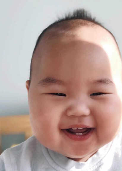 模特-