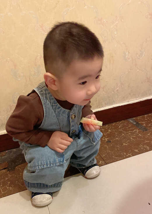 模特-