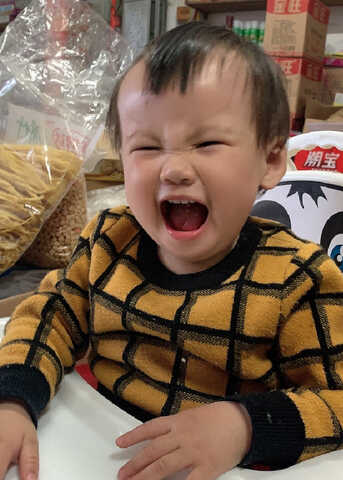模特-