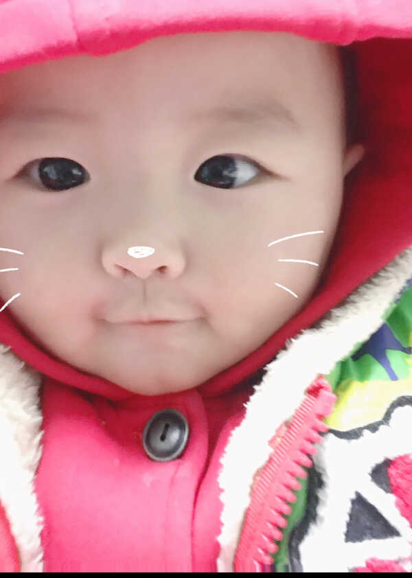 模特-