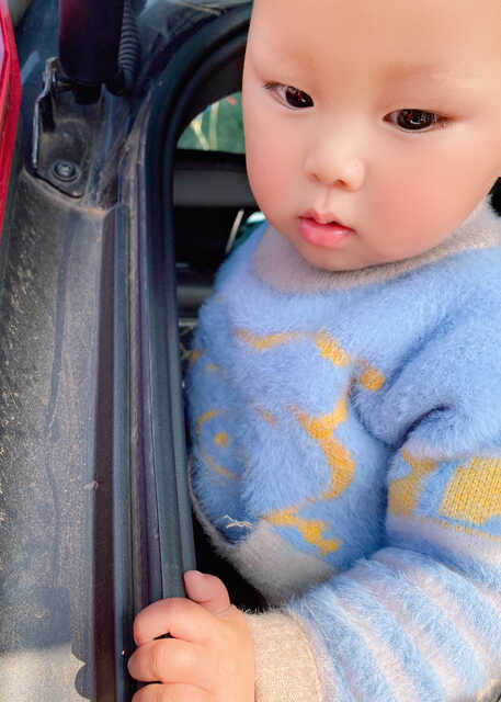 模特-