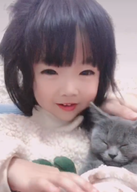 模特-