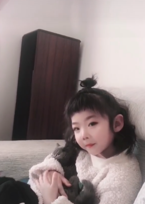 模特-