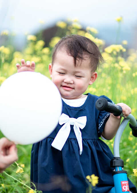 模特-