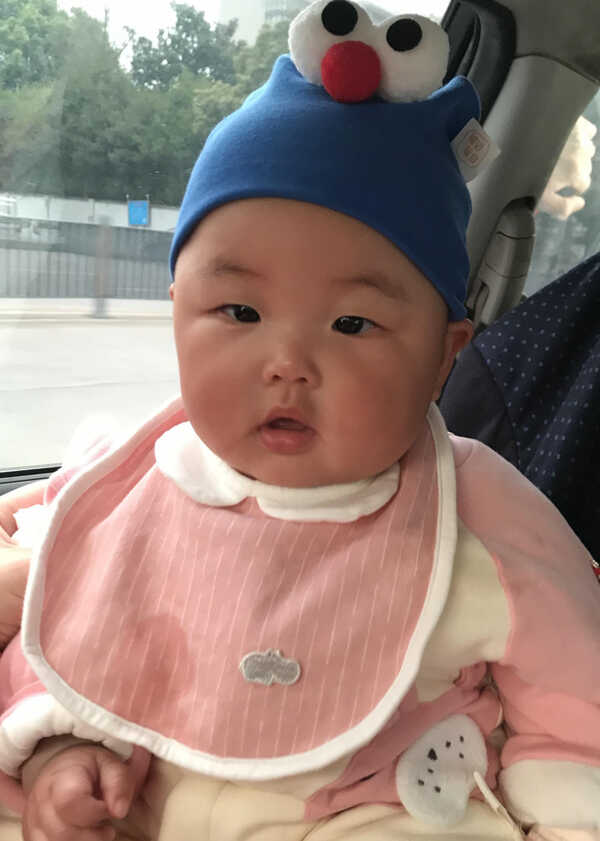 模特-