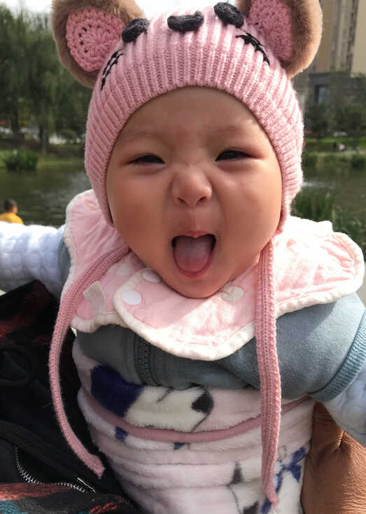 模特-
