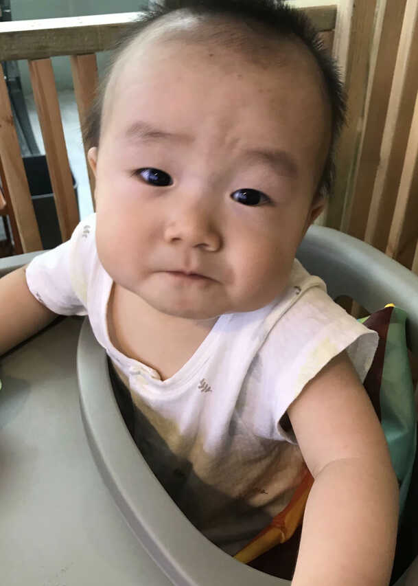 模特-