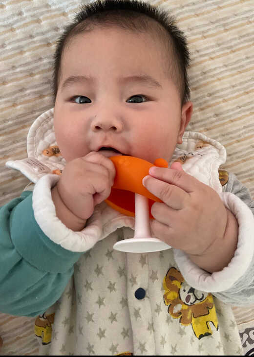 模特-