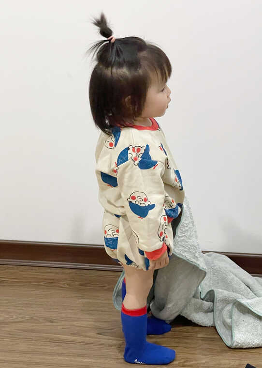 模特-