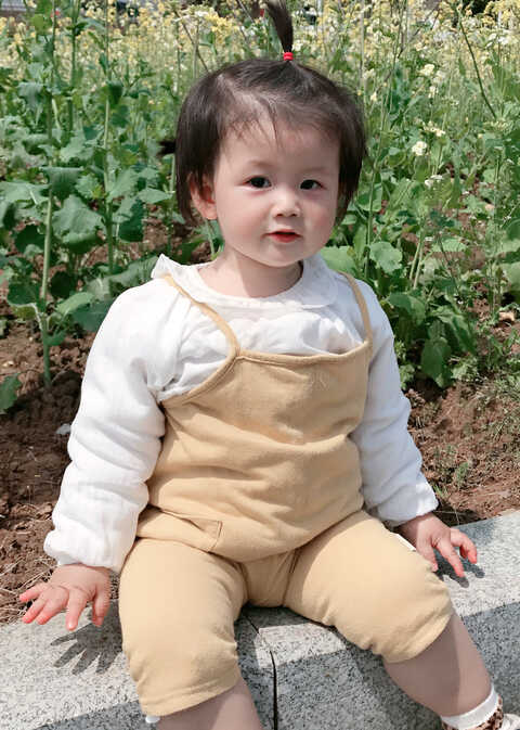 模特-