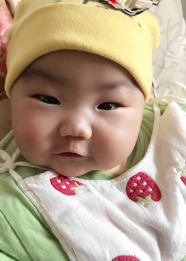 模特-