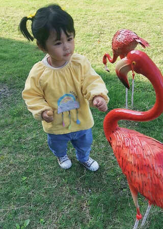 模特-