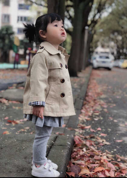 模特-
