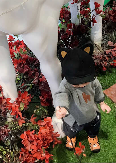 模特-