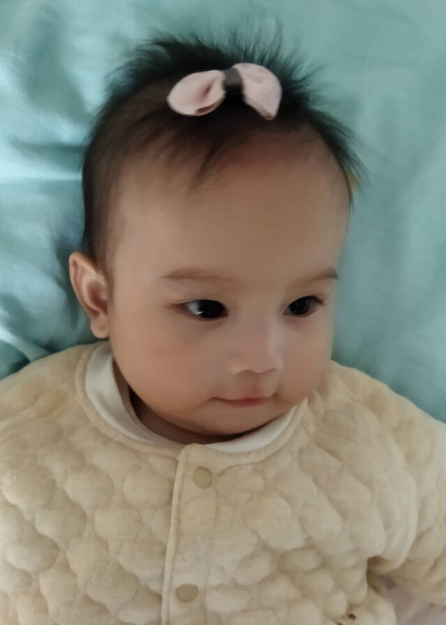 模特-
