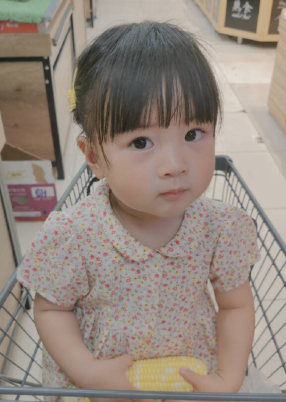 模特-