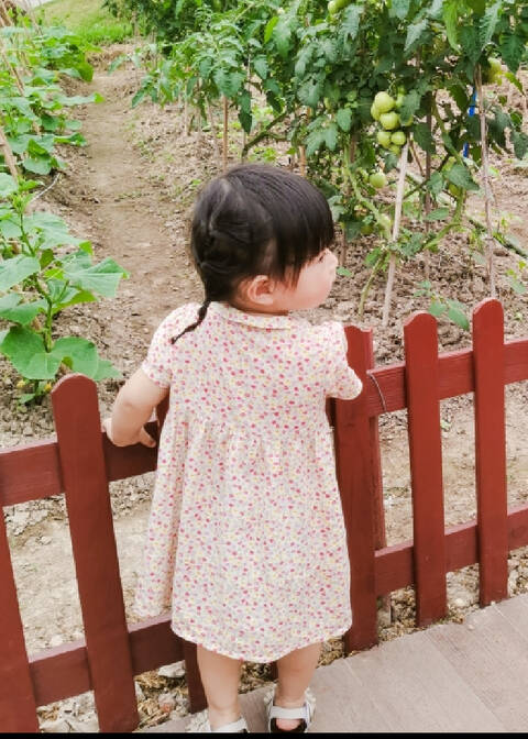模特-