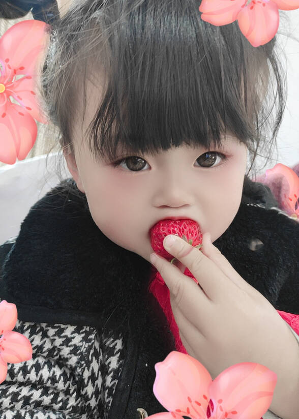 模特-