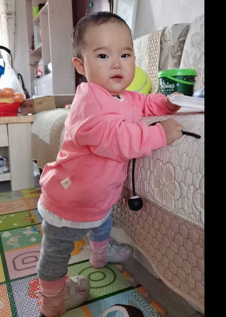 模特-
