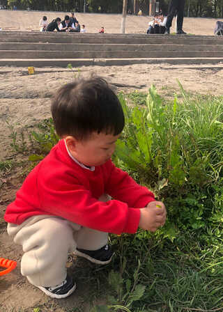 模特-
