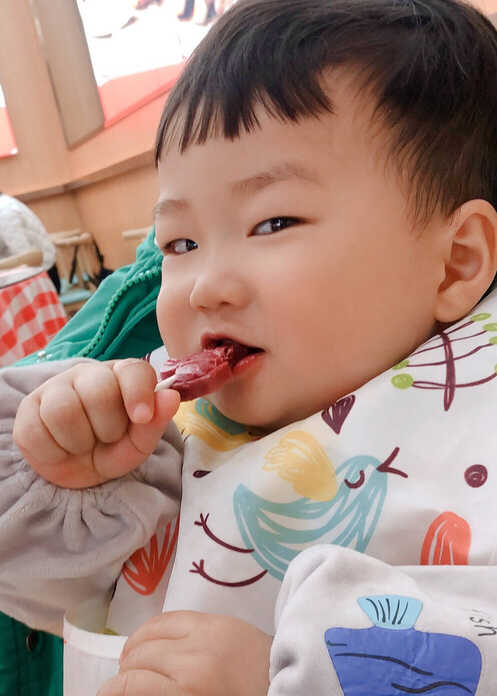 模特-