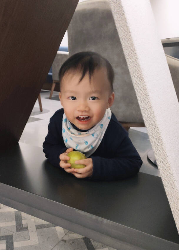 模特-