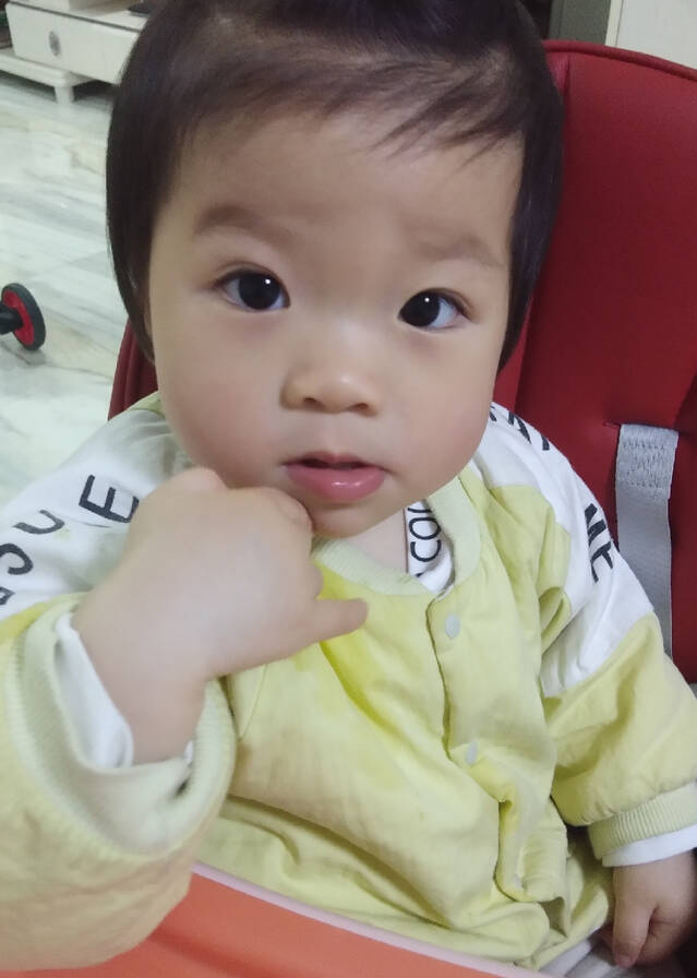 模特-