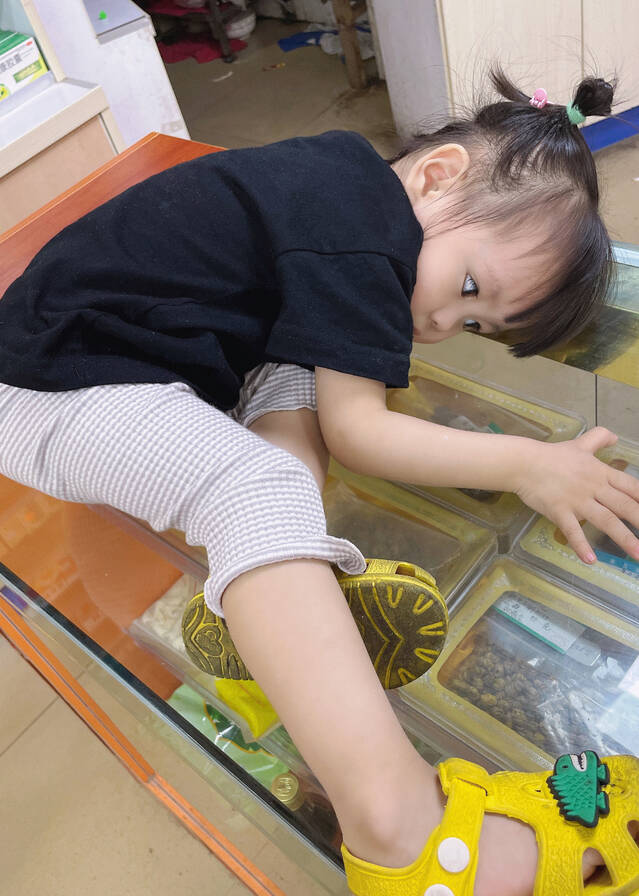 模特-