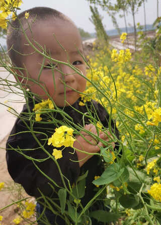 模特-