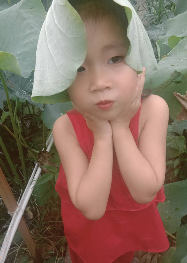 模特-
